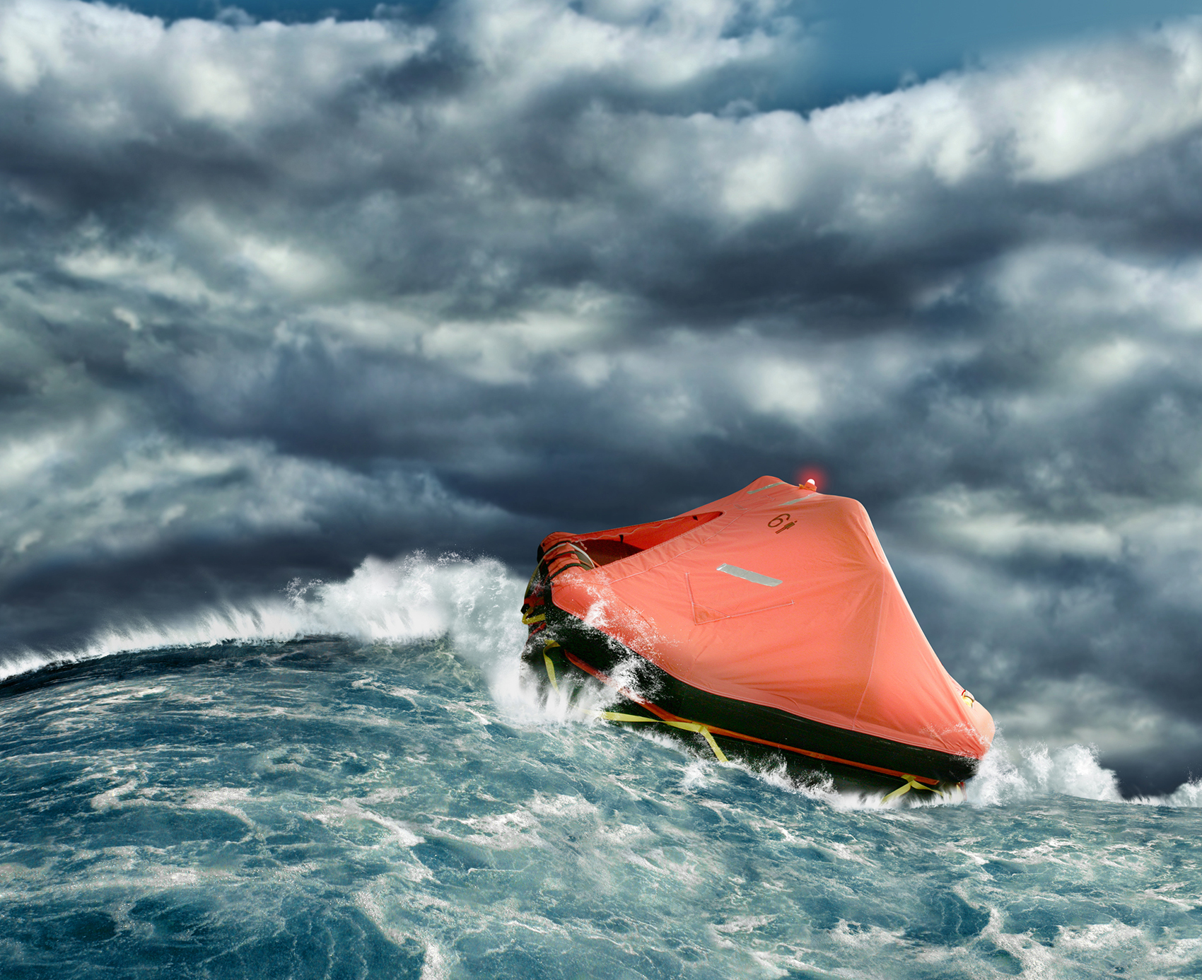 Marine life raft